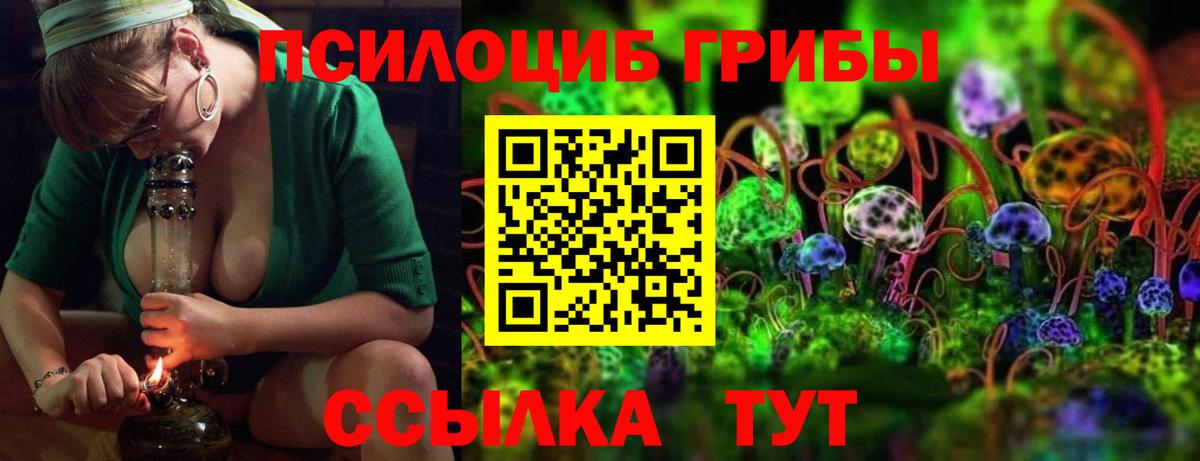 Галлюциногенные грибы мицелий Россия